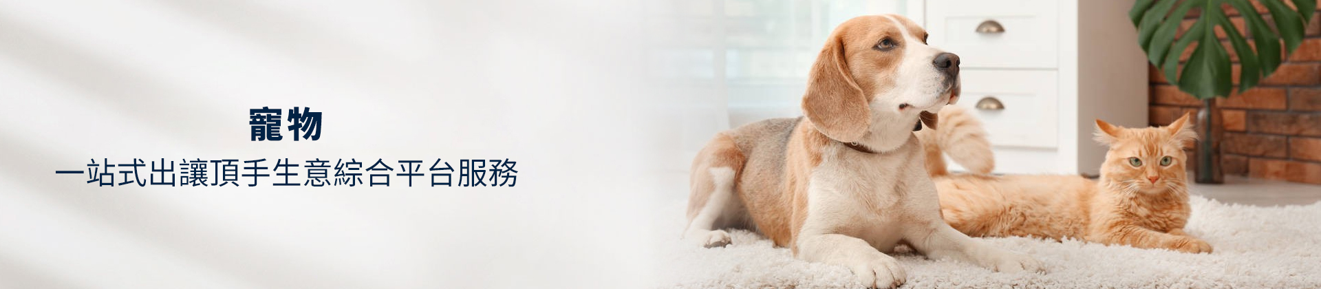 寵物店頂讓,寵物店牌照,香港寵物店頂讓流程,寵物店經(jīng)營利潤,香港寵物店頂讓金額